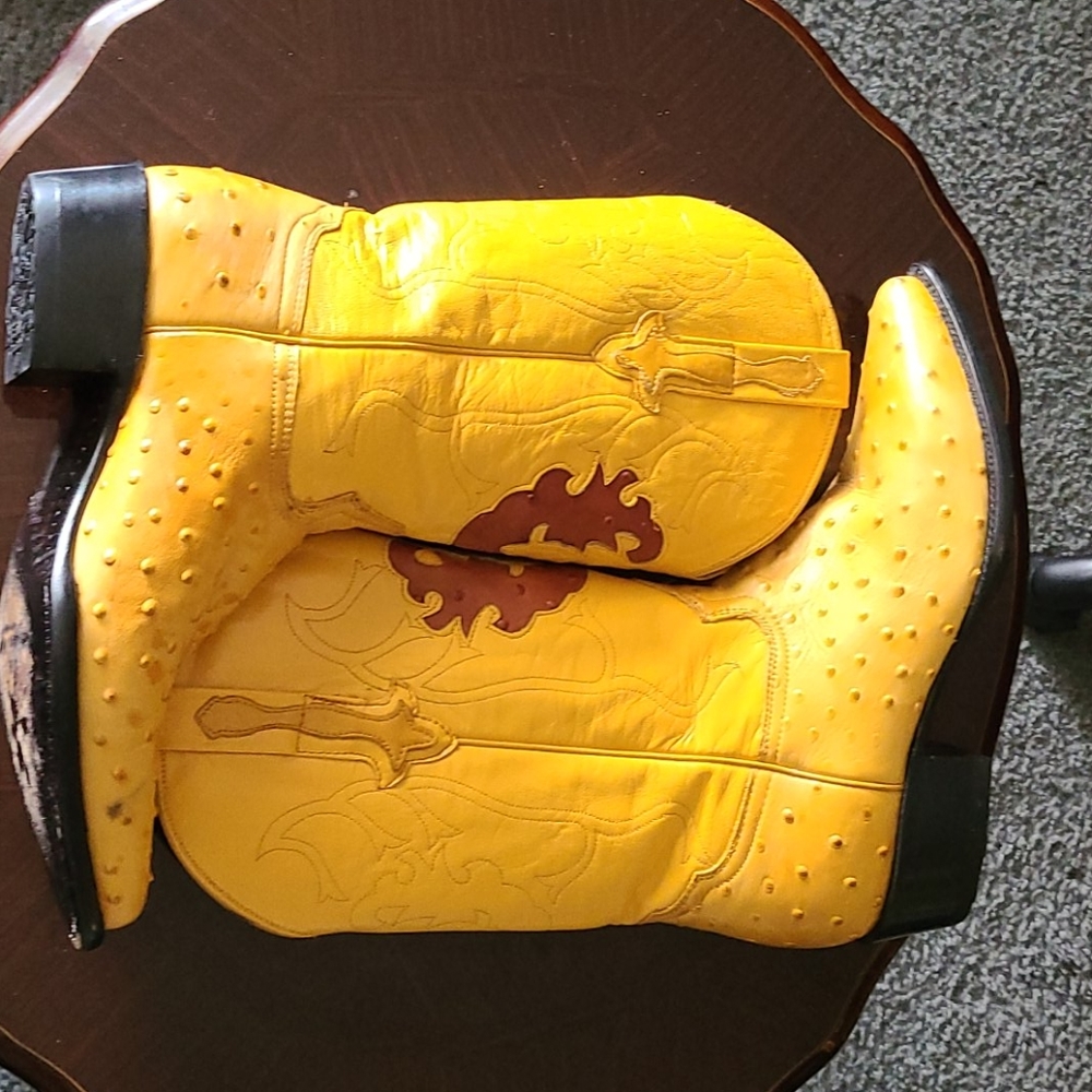 Mex Rodeo Rider Yellow Long Quill Ostrich 11.5 D